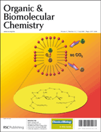 Cover of issue 13/2006 of Organic and Biomelecular Research, dedicated to work of Mario Pagliaro's and Sandro Campestrini's research Groups