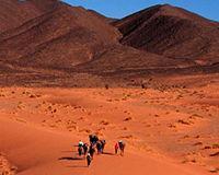 Il deserto del Sinai