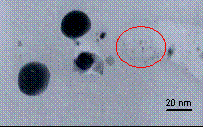 Messe a punto 
dal Cnr di Palermo in collaborazione con il Csic di Madrid, queste 
nanoparticelle di argento 
