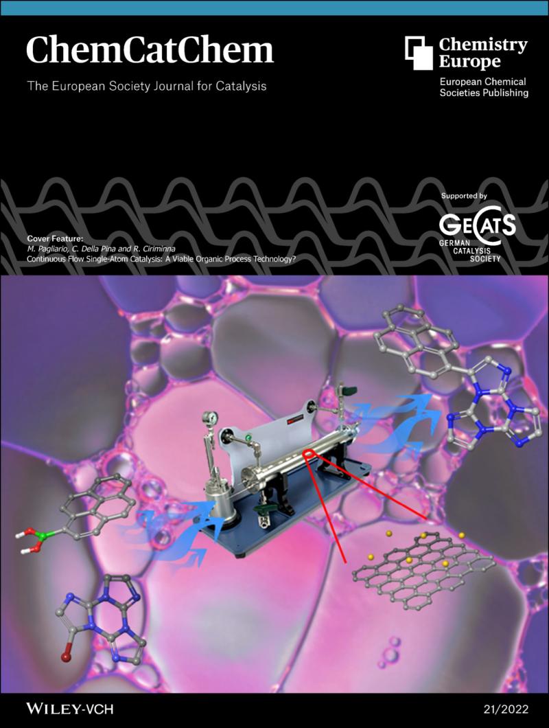 ChemCatChem cover
                  issue 21, 2022, dedicated to Mario Pagliaro's Lab
                  work
