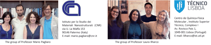 Laura M. Ilharco and Mario Pagliaro scientific collaboration