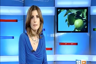 Il servizio dedicato al limonene dalla TGR Sicilia il 15 Novembre 2014