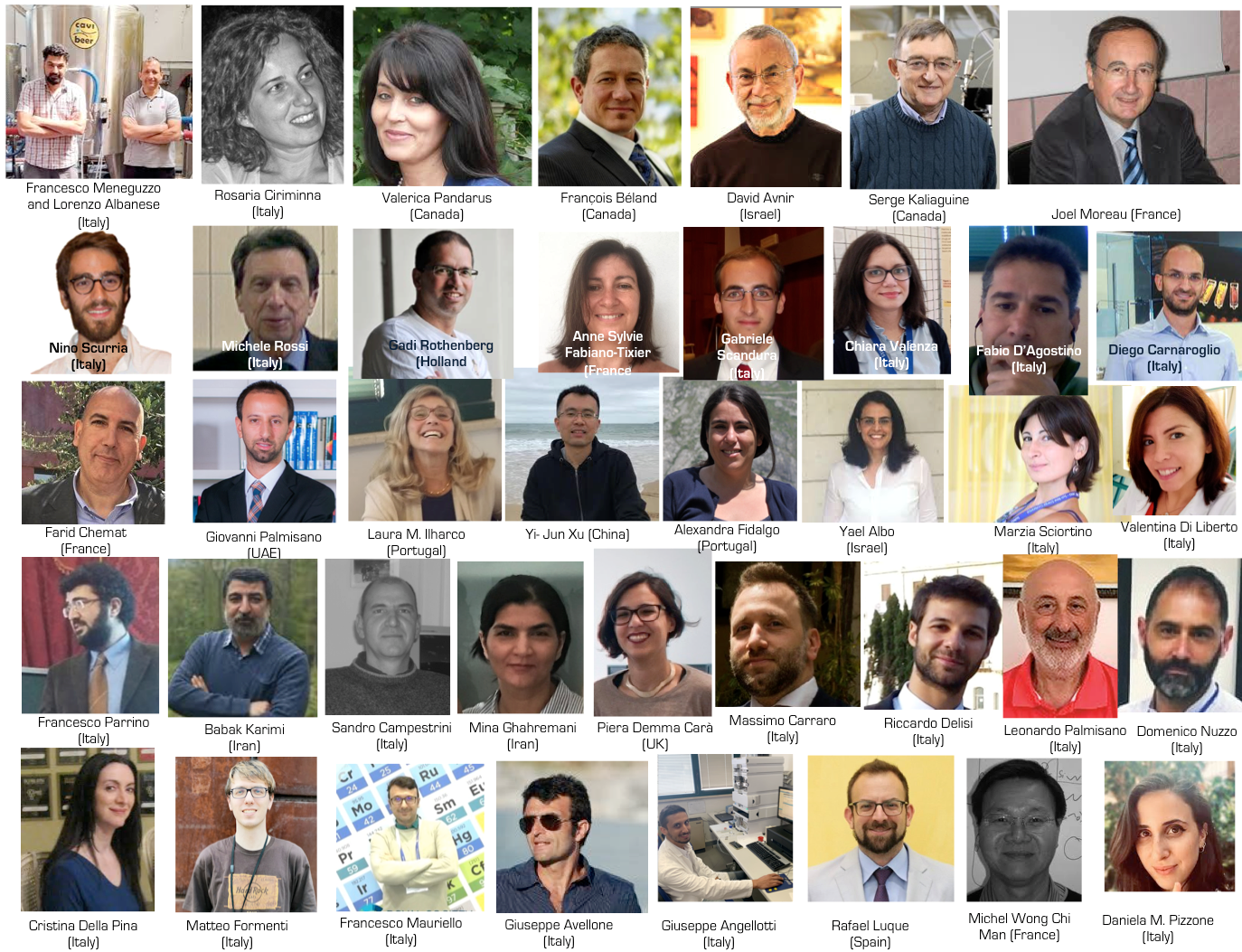 Selected friends
          and colleagues who worked with Mario Pagliaro's Lab since
          2000