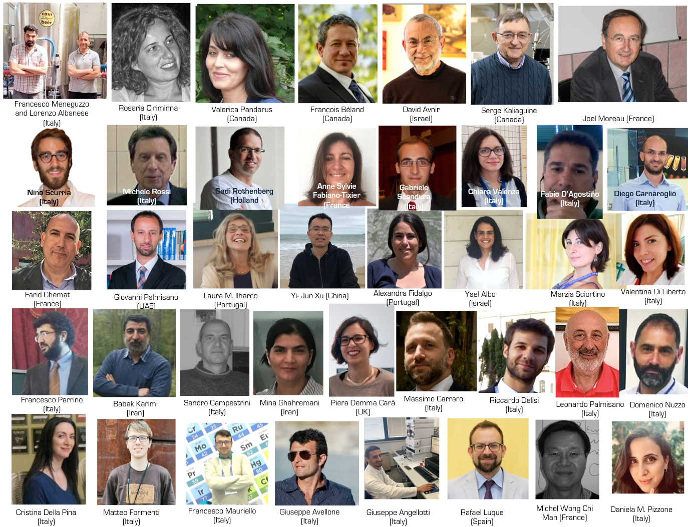 Selected friends
          and colleagues who worked with Mario Pagliaro's Lab since
          2000