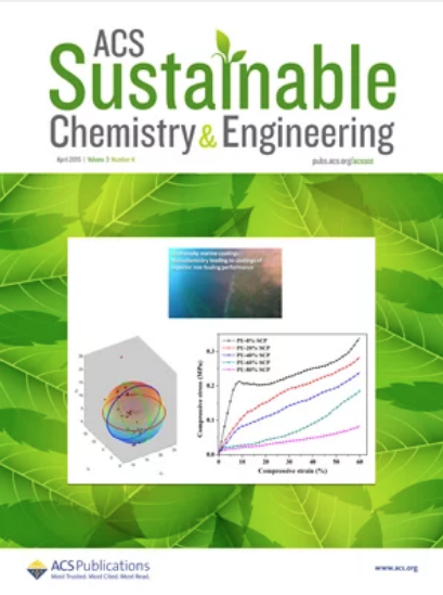 ACS Sustainable Chemistry & Engineering - Cover
of issue 3, volume 3, 2015, dedicated to Mario Pagliaro's Lab work