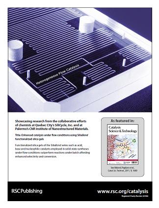 Cover of Catalysis
Science & Technology, issue 6, volumne 2, 2011, dedicated to Mario Pagliaro's Lab work