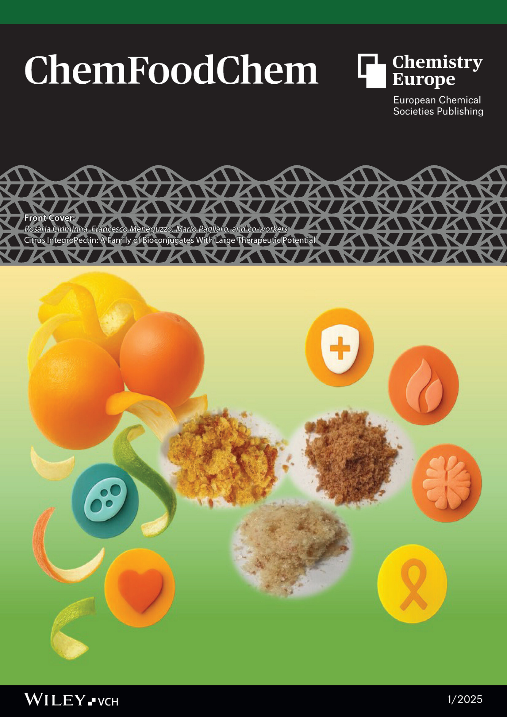 Cover of ChemFoodChem issue 1, 2025