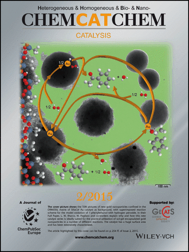 ChemCatChem -
                  Cover of issue 2, volume 7, 2015, dedicated to Mario                  Pagliaro's Lab work