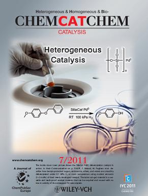 Cover of ChemCatChem, issue 7, volume 3, 2011
dedicated to Mario Pagliaro's Lab work