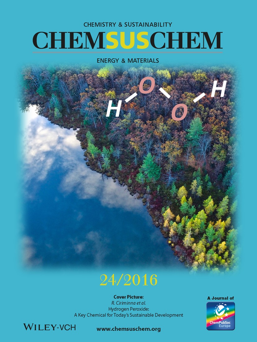 ChemSusChem - Cover
of issue 24, volume 9, 2016, dedicated to Mario Pagiaro's Lab work