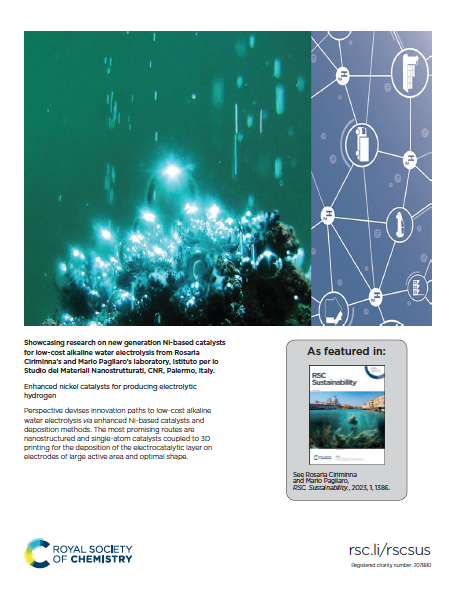 Inside back cover of RSC Sustainability issue 6,
2023, dedicated to Mario Pagliaro's Lab