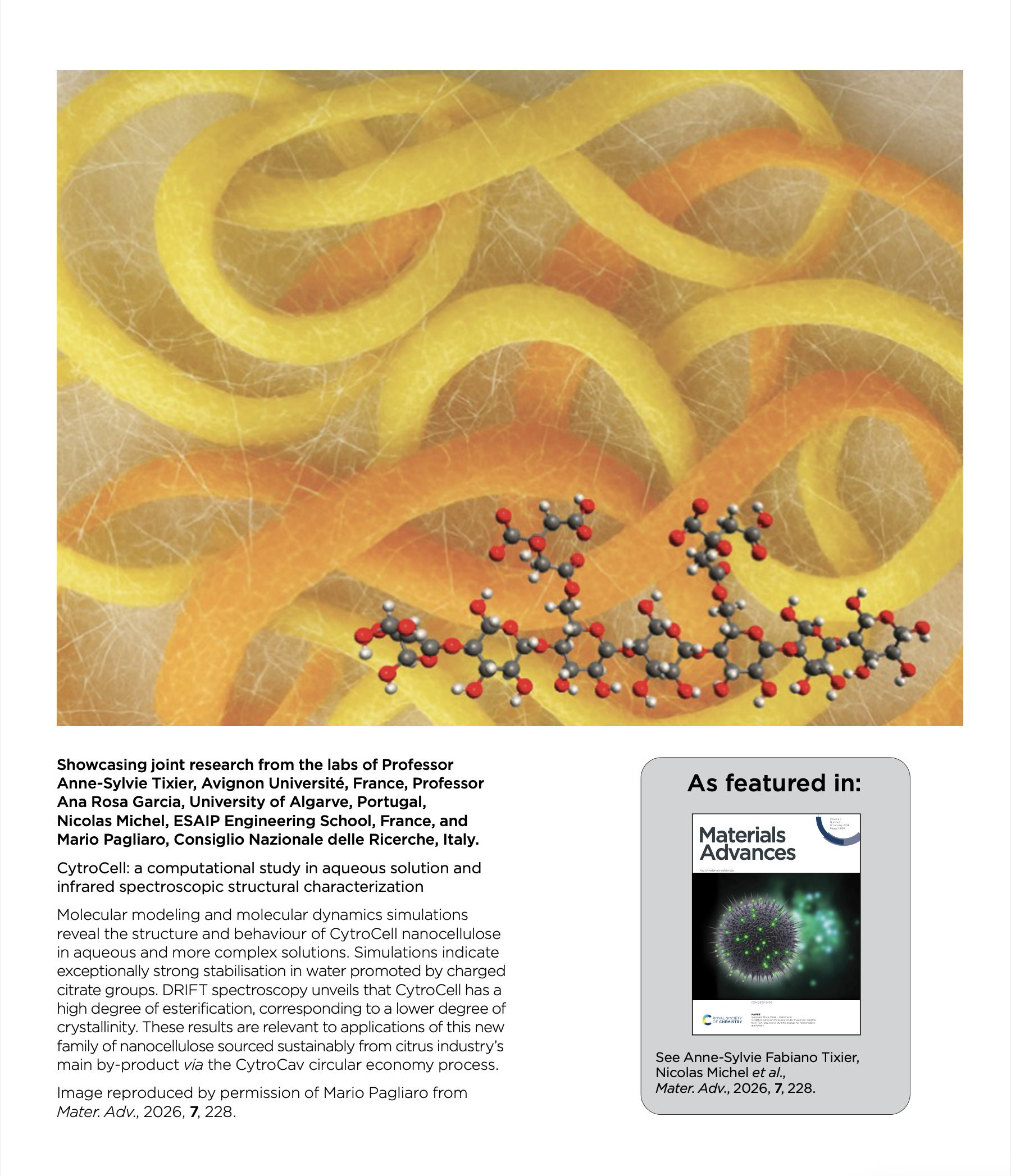 Cover of Materials Advances
                1/2026 dedicated to experimental and theoretical
                investigation of CytoCell structure