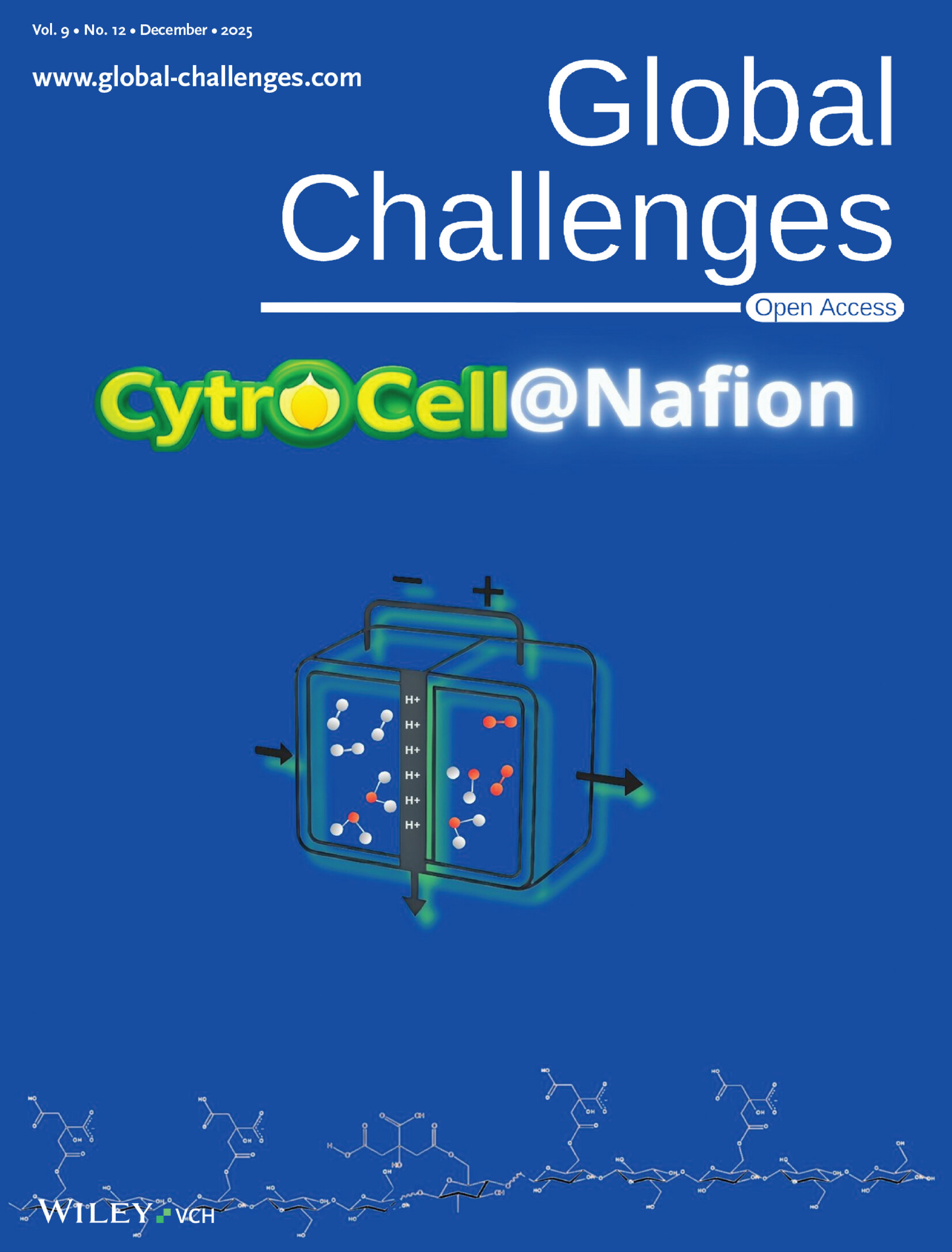 Cover​ of Global​
                Challenges 12/2025 dedicated to CytoCell@Nafion
                discovery