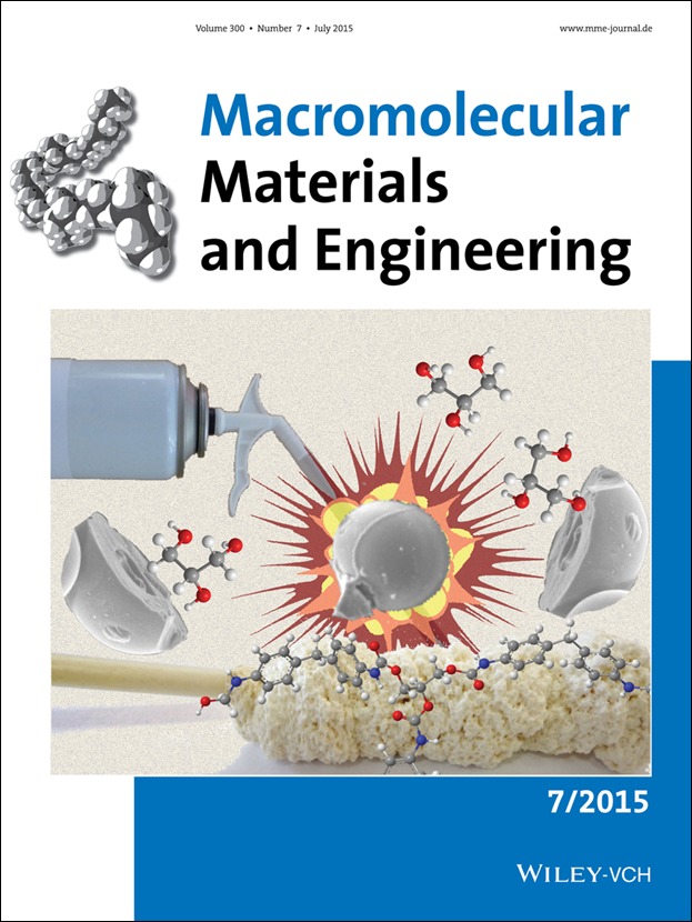 Macromolecular
Materials and Engineering - Cover of issue 7, volume 300, 2015, dedicated to Mario Pagliaro's Lab work