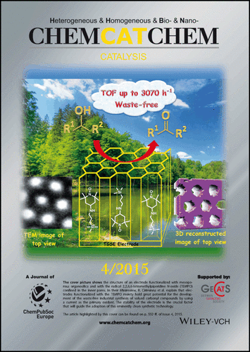 ChemCatChem - Cover
of issue 4, volume 7, 2015, dedicated to Mario Pagliaro's Lab work