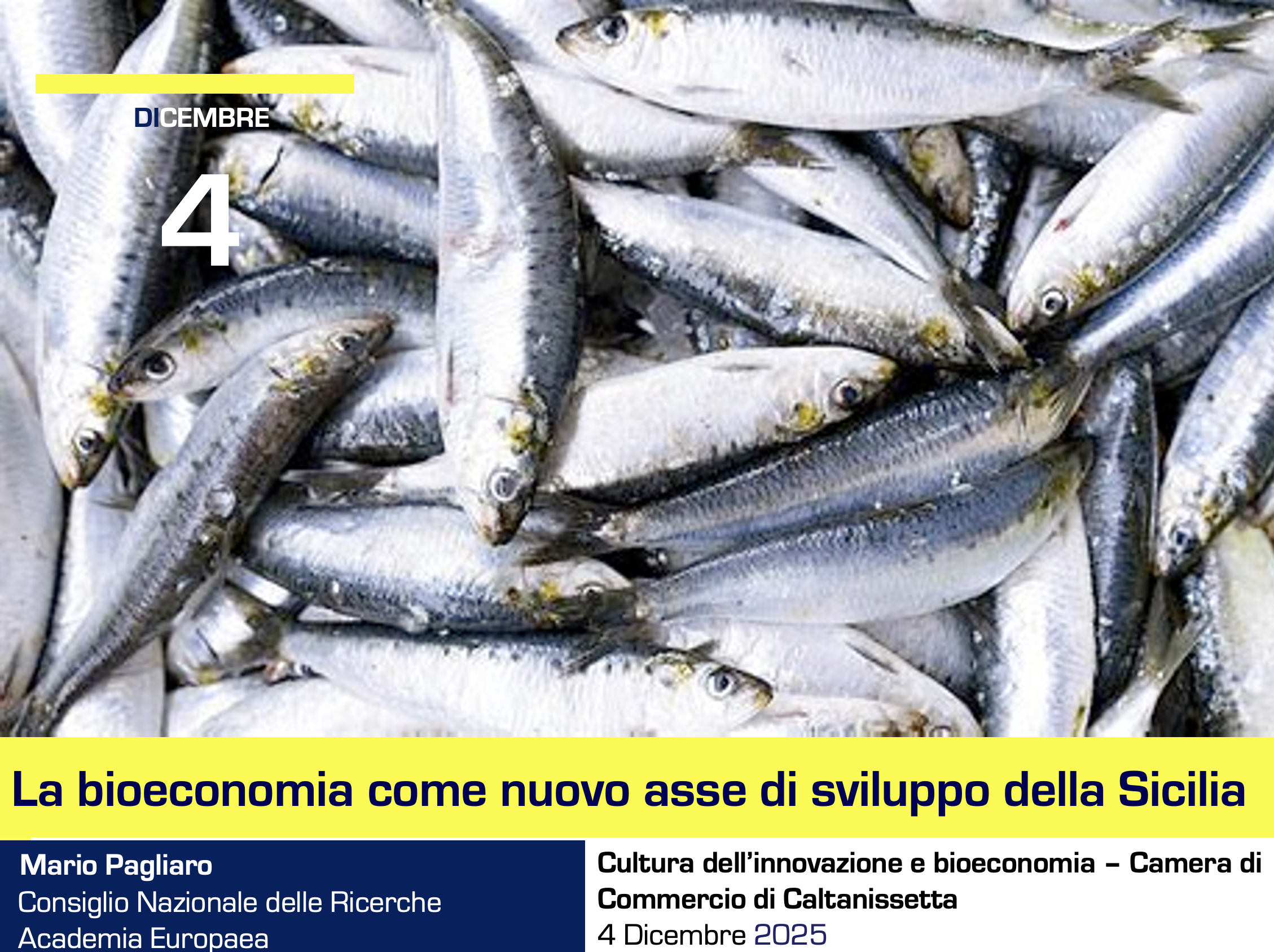 La bioeconomia come nuovo
            asse di sviluppo della Sicilia - Slide di apertura
            dell'intervento di Mario Pagliaro