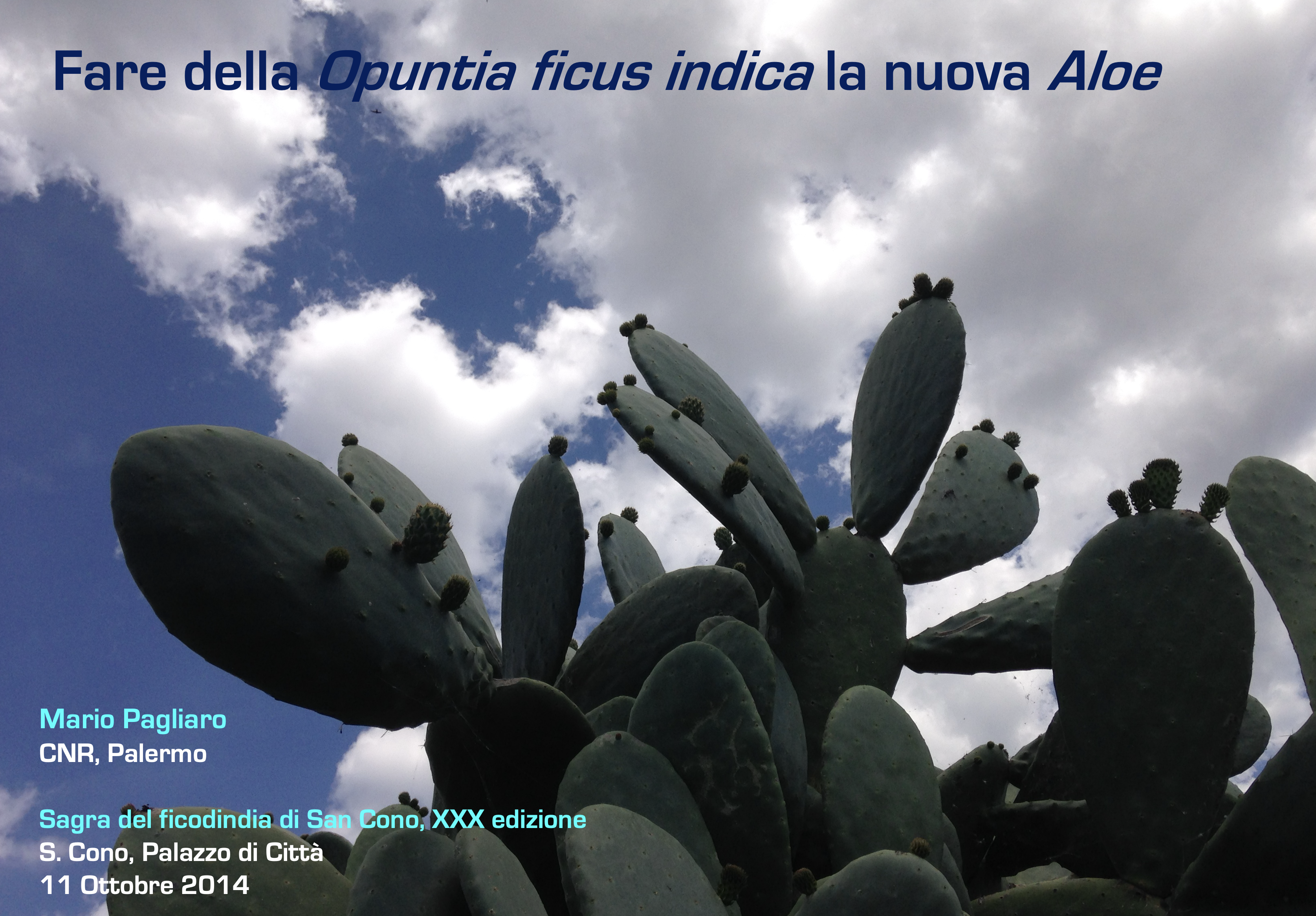 Fare
          dell'Opuntia ficus-indica la nuova Aloe, intervento di Mario
          Pagliaro